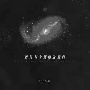 再见,每个耀眼的瞬间 (国语)歌词 - 旺仔小乔