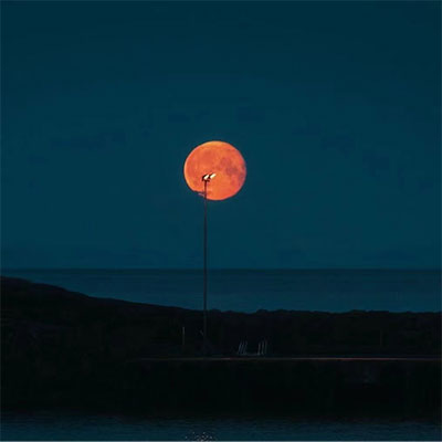 Jar Of Love(热播版)歌词 - Dave