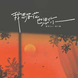 我思落花也思你歌词 - 袁小葳 /陆杰awr