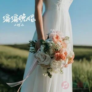 偏偏晚婚歌词 - 小阿七