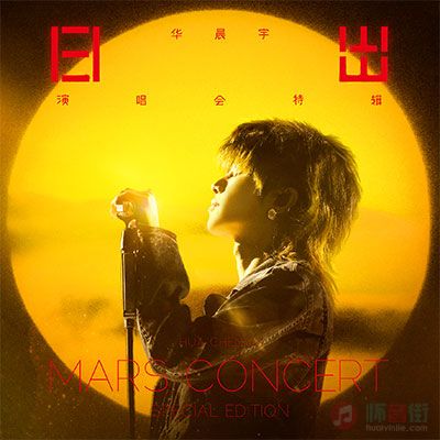 疯人院 (电音版)歌词 - 华晨宇