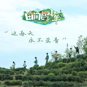 田间的少年 - 茶田篇歌词 - 何洁/姜潮/李泊文/黄新淳/孙滢皓