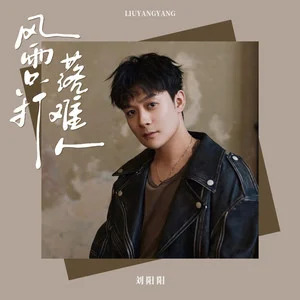 风雨只打落难人歌词 - 刘阳阳