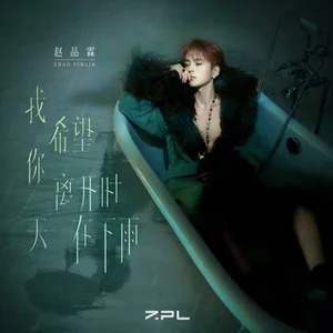 我希望你离开时天在下雨(feat.AJ赖煜哲)歌词 - 赵品霖