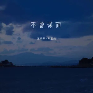 不曾谋面歌词 - 王忻辰 /苏星婕