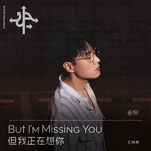 但我正在想你歌词 - 王铮亮