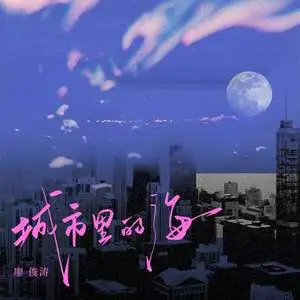 城市里的海歌词 - 廖俊涛