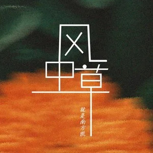 风中草 (DJ沈乐Remix)歌词 - 就是南方凯