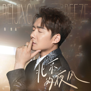 北京的夜风歌词 - 陈雅森