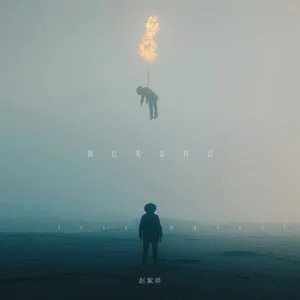 我已失去自己歌词 - 赵紫骅