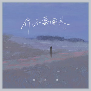 你不要回头歌词 - 曲肖冰