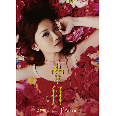 会呼吸的痛歌词 - 梁静茹