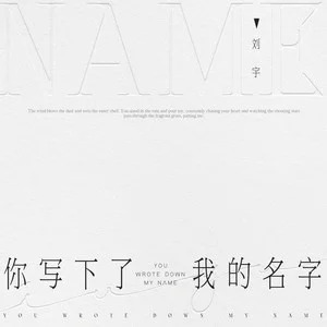 你写下了我的名字歌词 - 刘宇