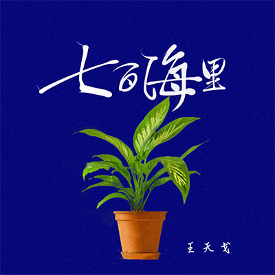 七百海里歌词 - 王天戈