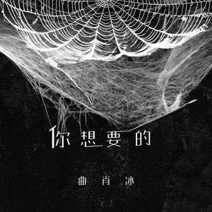 你想要的歌词 - 曲肖冰