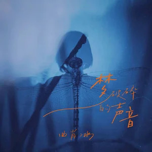 梦破碎的声音歌词 - 曲肖冰