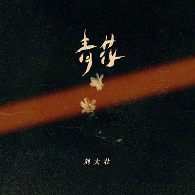 青花(遗憾无法说)歌词 - 刘大壮
