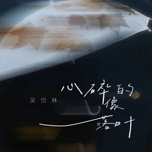 心碎的像落叶歌词 - 吴岱林