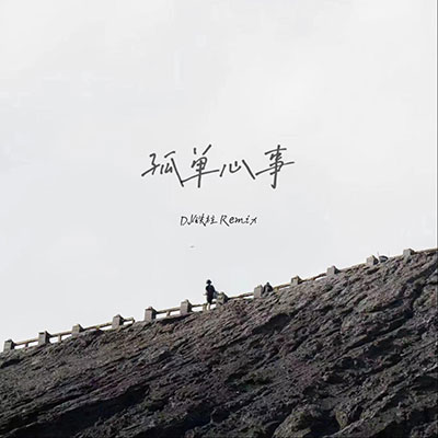 孤单心事(DJ铁柱版)歌词 - DJ铁柱