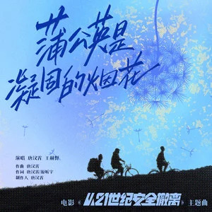 蒲公英是凝固的烟花歌词 - 唐汉霄/王赫野