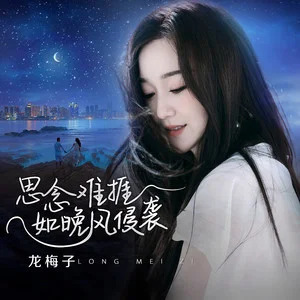 思念难捱如晚风侵袭歌词 - 龙梅子