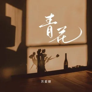 青花歌词 - 苏星婕