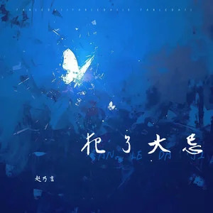 犯了大忌歌词 - 赵乃吉