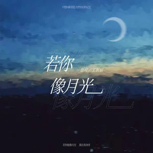 若你像月光歌词 - 也可/王忻辰