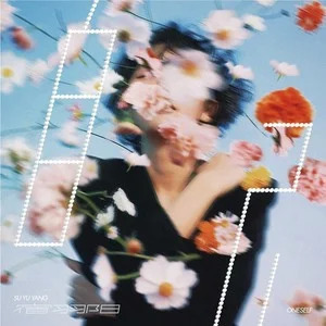 自己歌词 - 宿羽阳