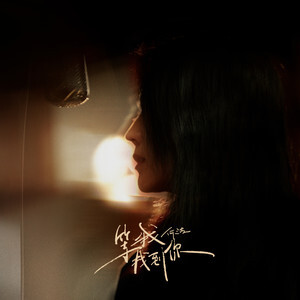 等我找到你歌词 - 何洁