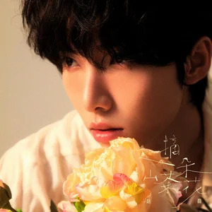 摘一朵山茶花歌词 - 赵磊