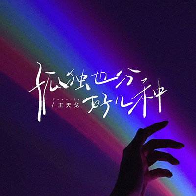 孤独也分好几种歌词 - 王天戈