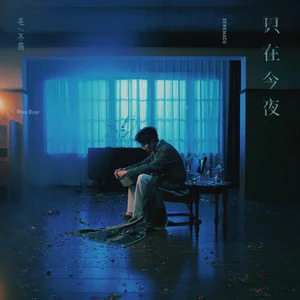 只在今夜歌词 - 毛不易