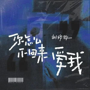 你怎么不回来爱我歌词 - 刘烨溦