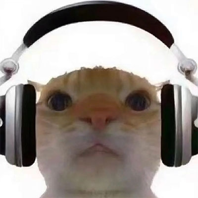 广西大师(鼠鼠战歌)歌词 - Dave