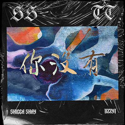 HA DAMN 你没有 (feat. TizzyT)歌词 - ShiGGa Shay 西阁 / TizzyT