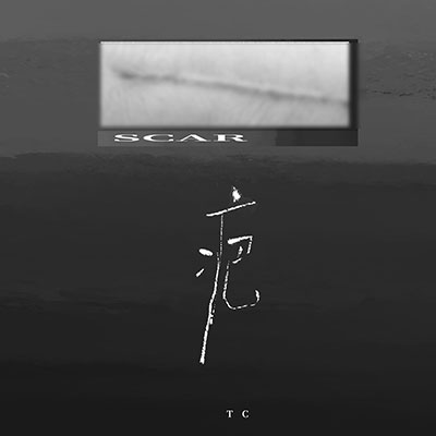 疤歌词 - TC
