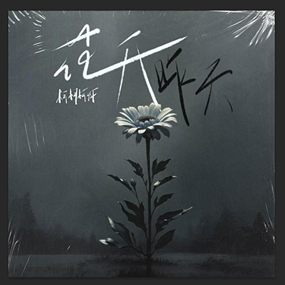 花开昨天歌词 - 柯柯柯啊