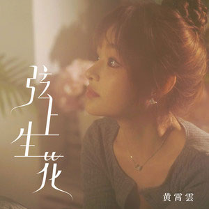 弦上生花歌词 - 黄霄雲