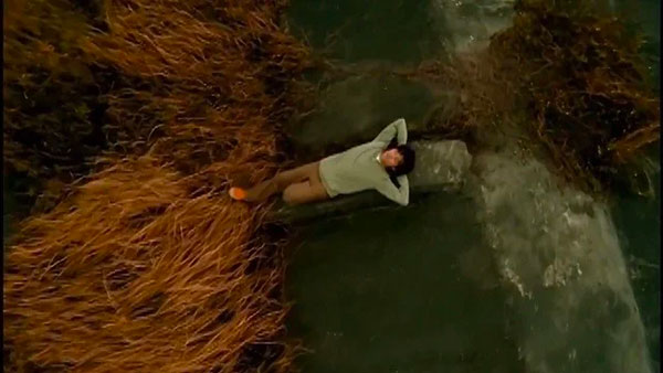 《星晴》歌曲简介、星晴歌词介绍及主唱