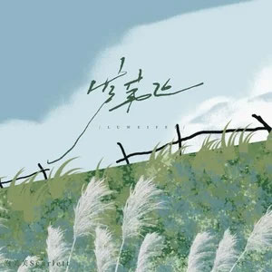 芦苇飞歌词 - 泡芙芙Scarlett