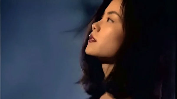 《容易受伤的女人》歌曲简介、容易受伤的女人歌词介绍及主唱