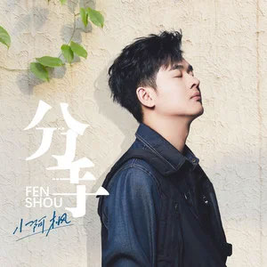 分手歌词 - 小阿枫