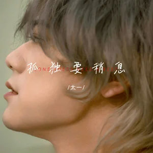 孤独要稍息歌词 - 太一
