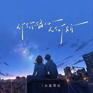 对你偏心又何妨歌词 - 小蓝背心