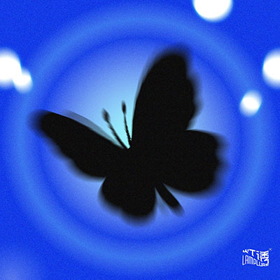 闪光歌词 - 灯诱LampLure