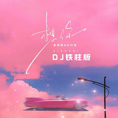 想你 (DJ铁柱版)歌词 - DJ铁柱