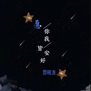 愿你我皆安好歌词 - 贾晓龙