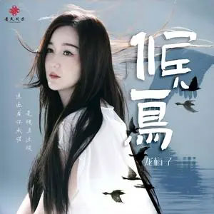 候鸟歌词 - 龙梅子