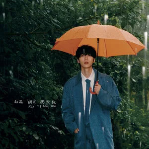 雪又落下了歌词 - 赵磊